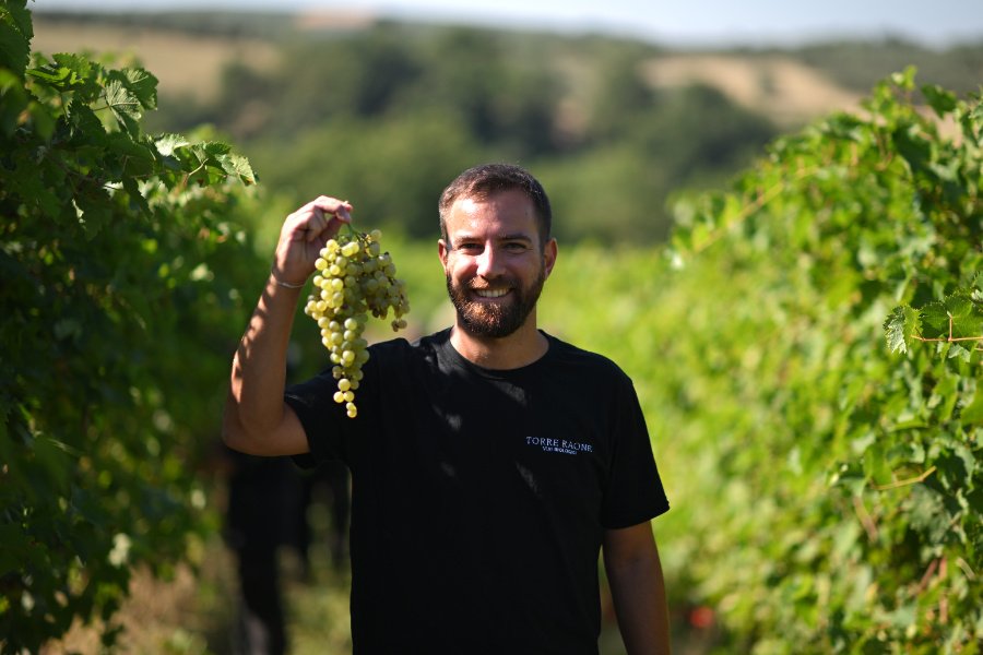 Immagine cantina Tenuta Torre Raone