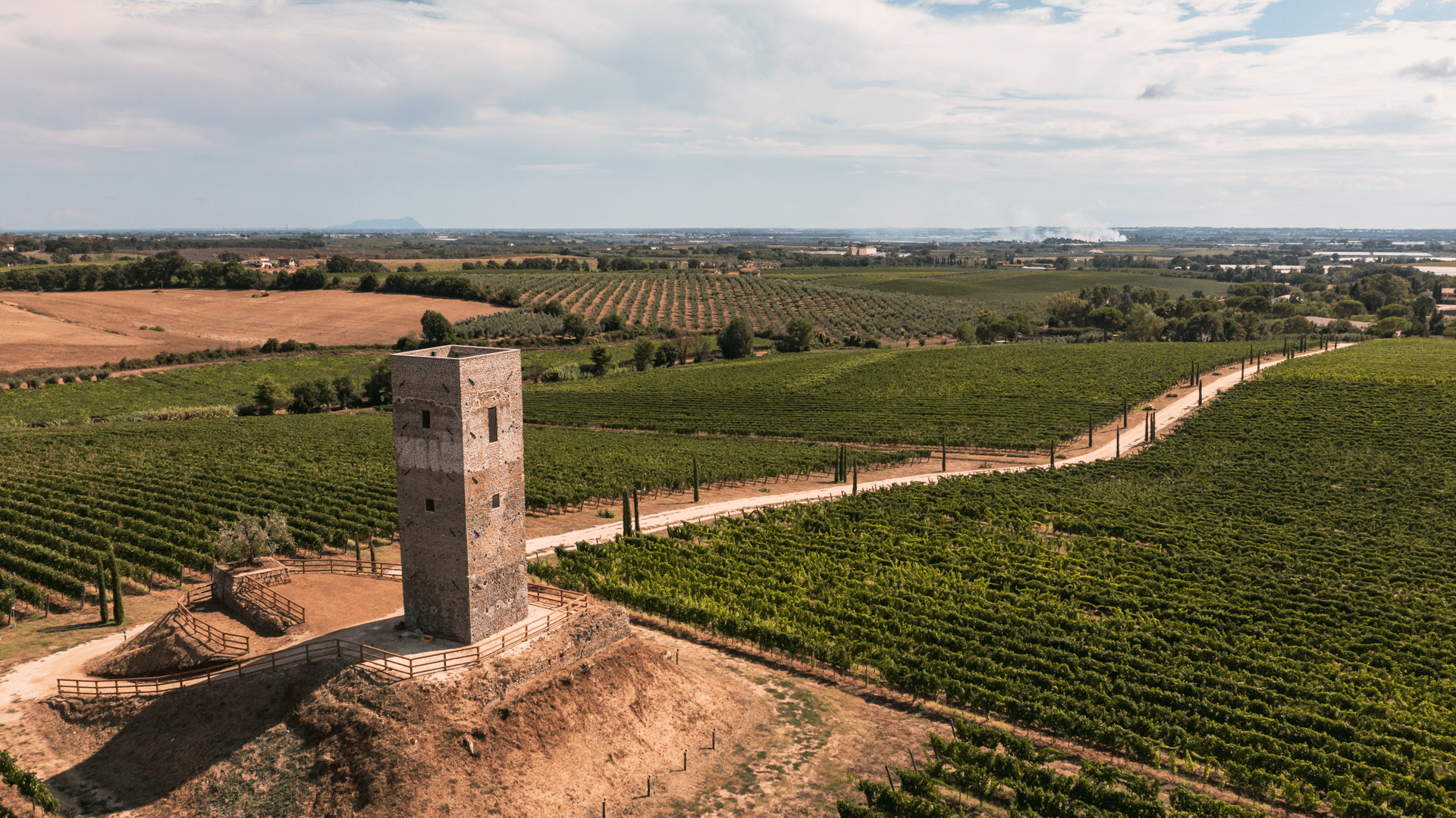 Immagine cantina Tenimenti Leone