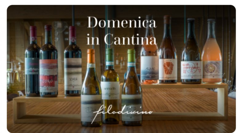 Immagine visita DOMENICA IN CANTINA