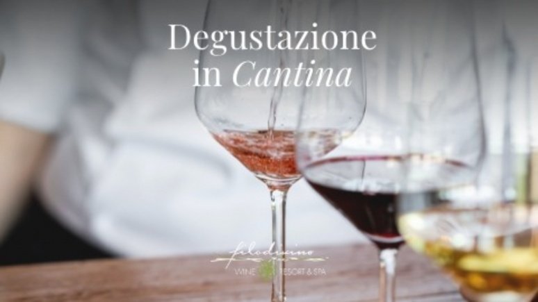 Immagine visita DALLA CANTINA AL FRANTOIO