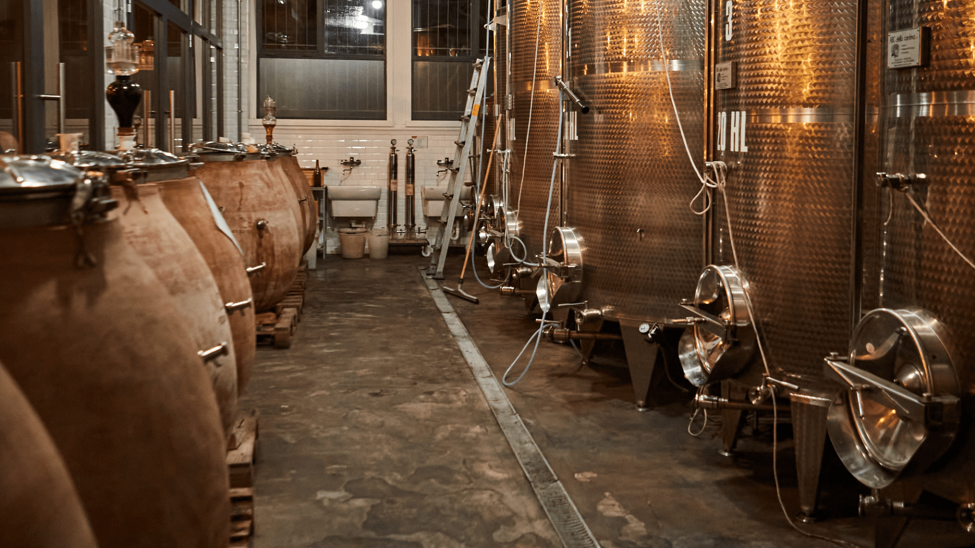 Immagine cantina Winery Sforza - Cantina Urbana