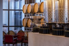 Winery Sforza - Cantina Urbana