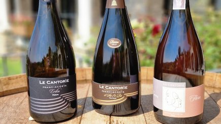 Immagine visita FESTIVAL FRANCIACORTA 2024 - DEGUSTAZIONI D'ELITE