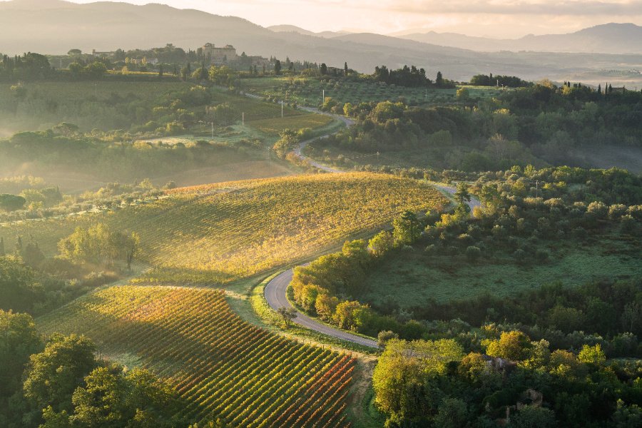 Immagine cantina Castelfalfi