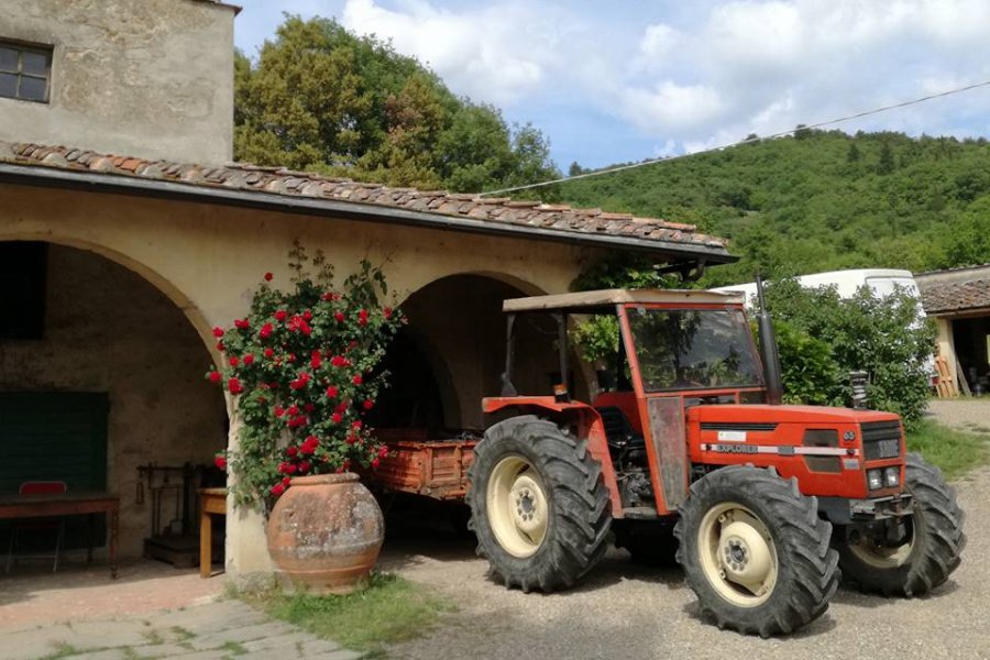 Fattoria Montereggi