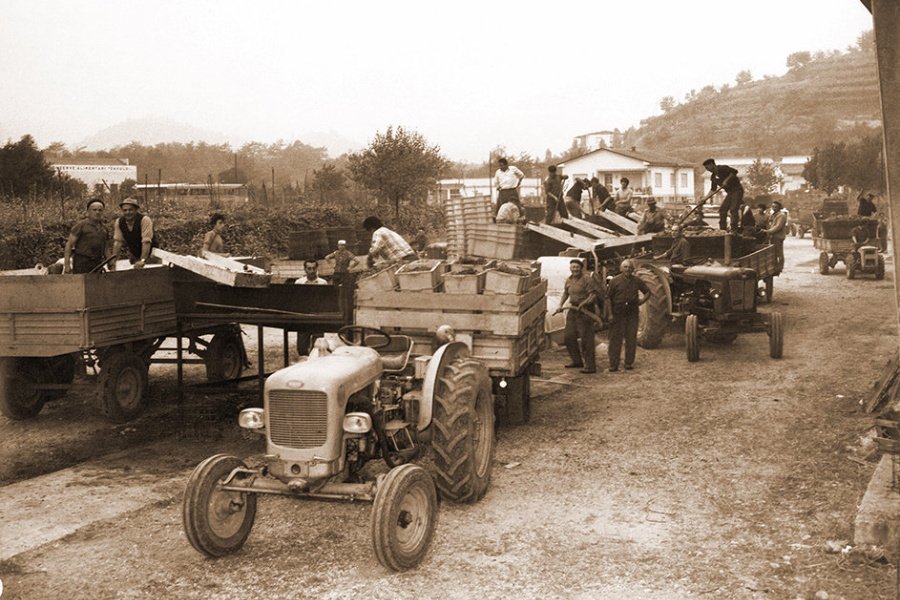 CVCG Franciacorta