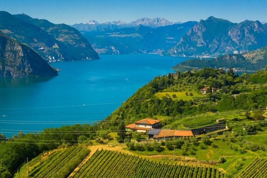 Immagine cantina Massussi Luigi Franciacorta