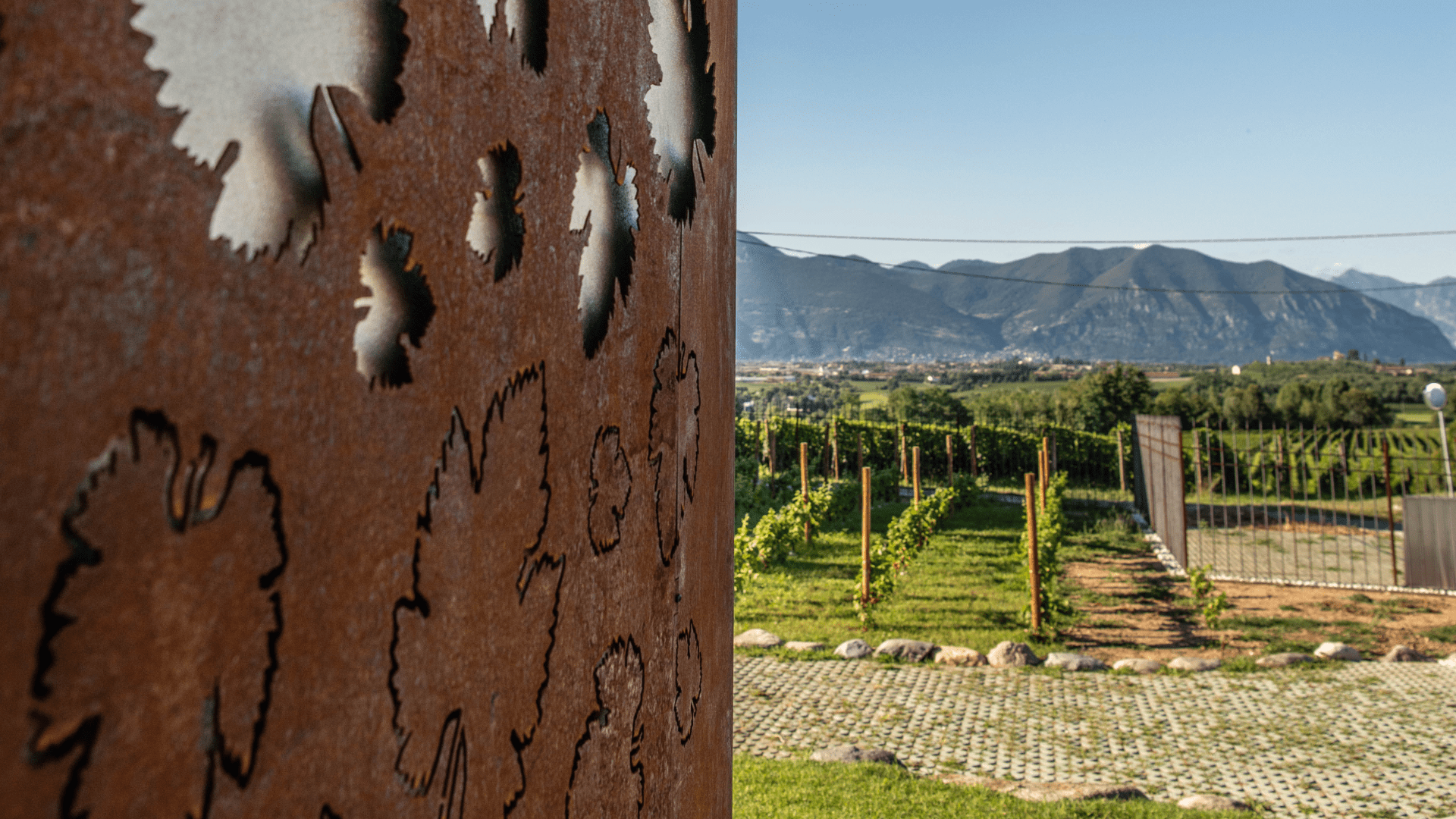 Immagine cantina Boccadoro Franciacorta