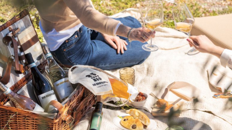 Immagine visita Picknick in den Weinbergen für zwei