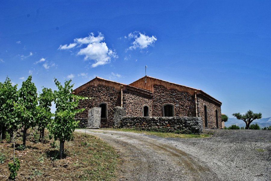 Cantina Torre Mora