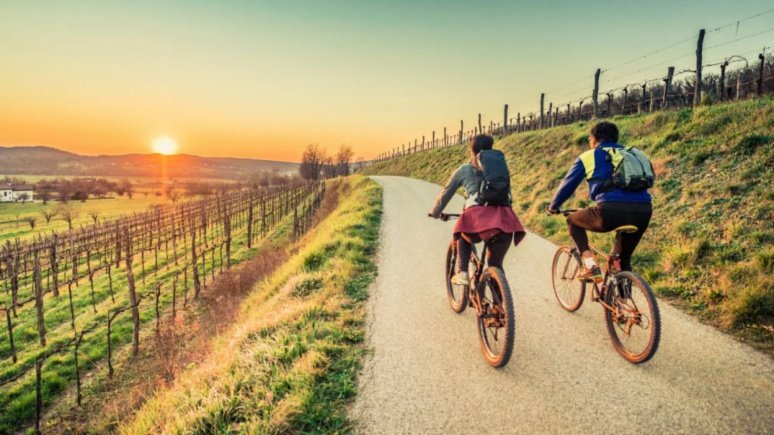 Immagine visita Tour in e-bike tra i vigneti dei Colli Perugini e degustazione di vini