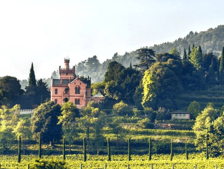 Immagine Castello Bonomi