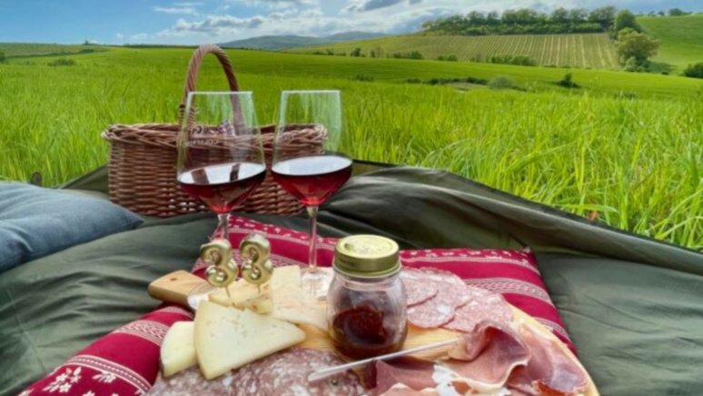 Immagine visita Picnic tra le vigne Biologiche del Brunello di Montalcino 