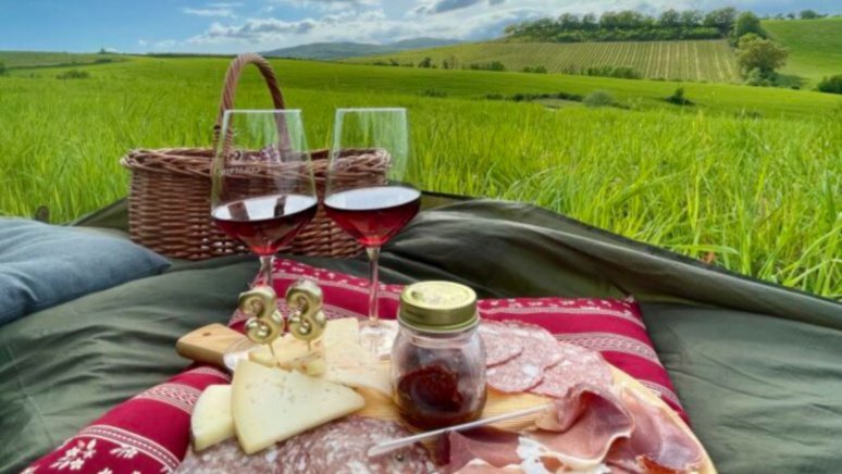 Immagine visita Picnic tra le vigne Biologiche del Brunello di Montalcino 