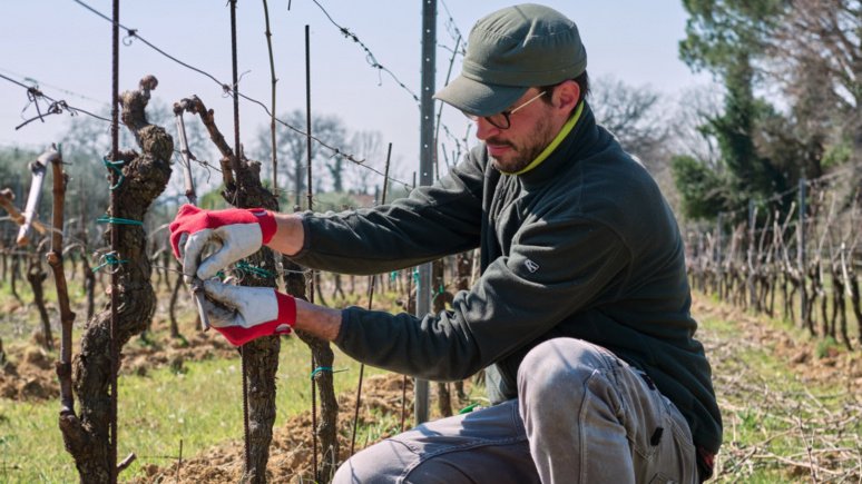 Immagine visita Tastes in the Field with Director Farm