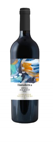 Immagine vino Irpinia Aglianico "TintoTerra" D.O.C - Cantina Giovanni Molettieri