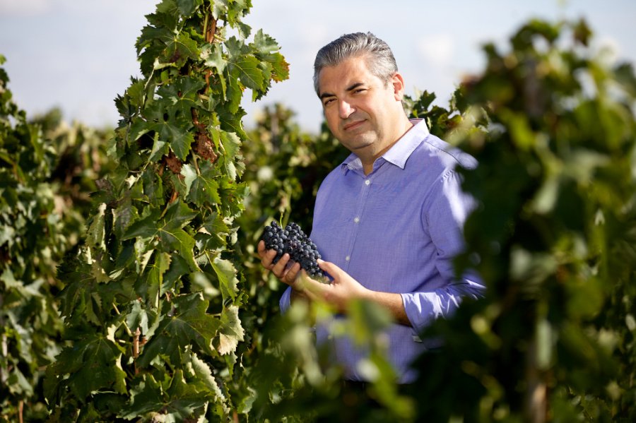 Immagine cantina Vigna di Pettineo