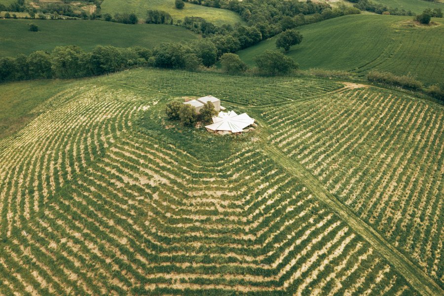 Fattoria La Maliosa