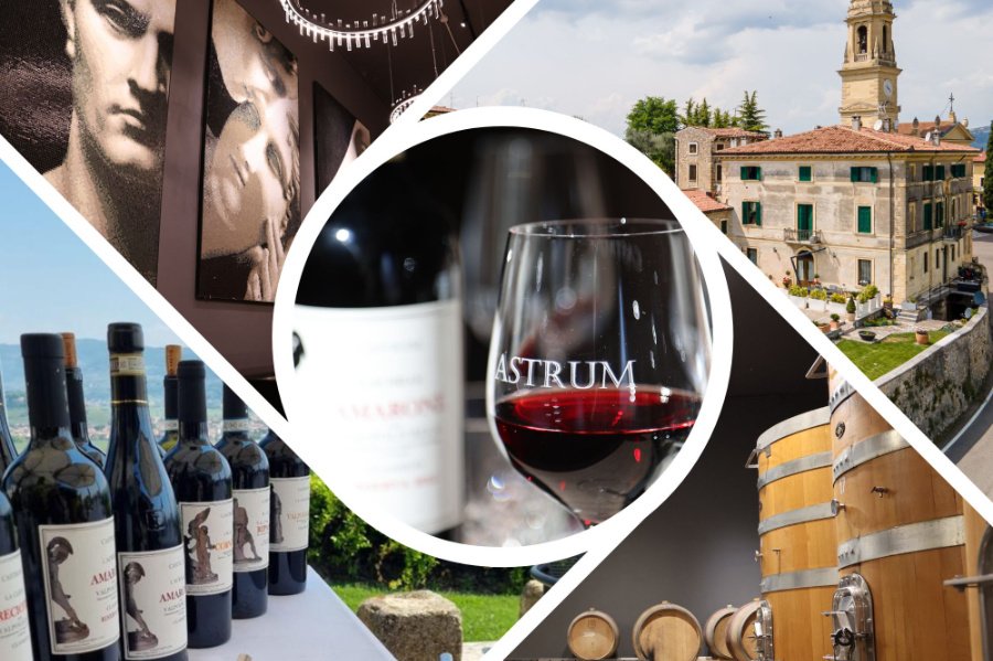 Immagine cantina Castrum Winery 