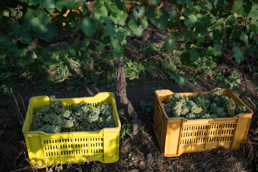 Spensierata Franciacorta