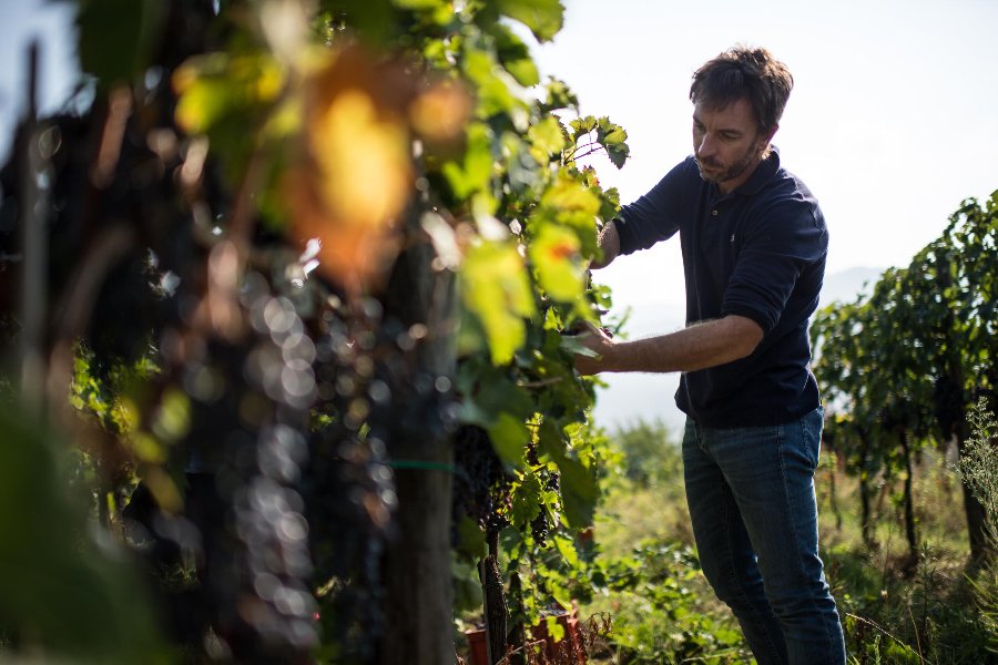 Immagine cantina Spensierata Franciacorta