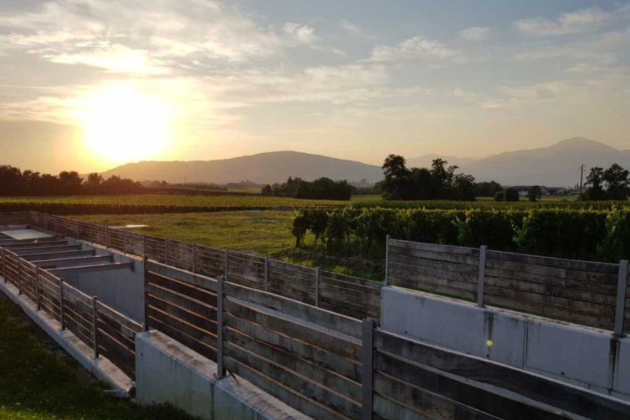 Immagine cantina Spensierata Franciacorta