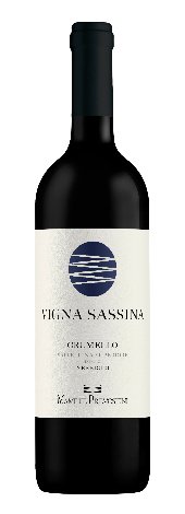 Immagine vino vigna sassina