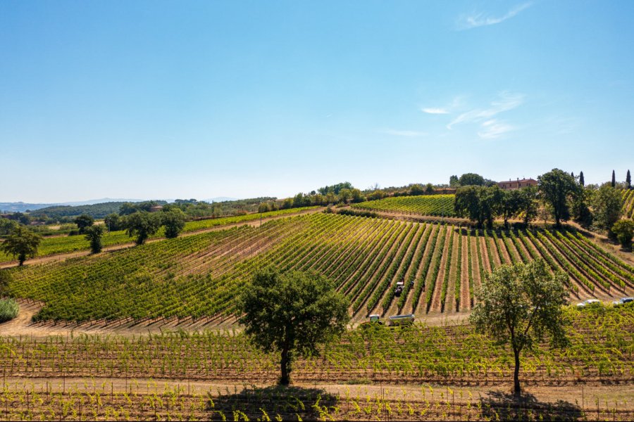 Immagine cantina Sfumature di Sangiovese