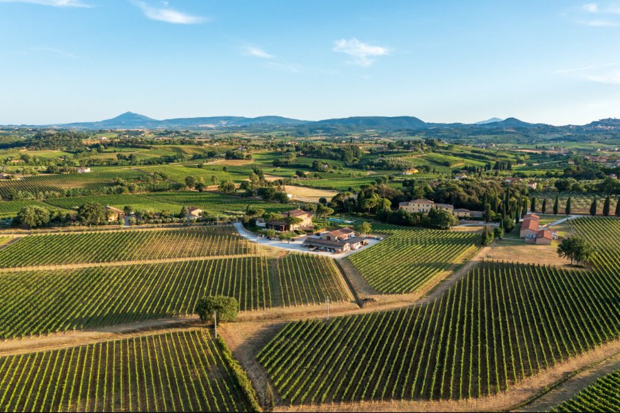 Immagine cantina Fattoria Svetoni