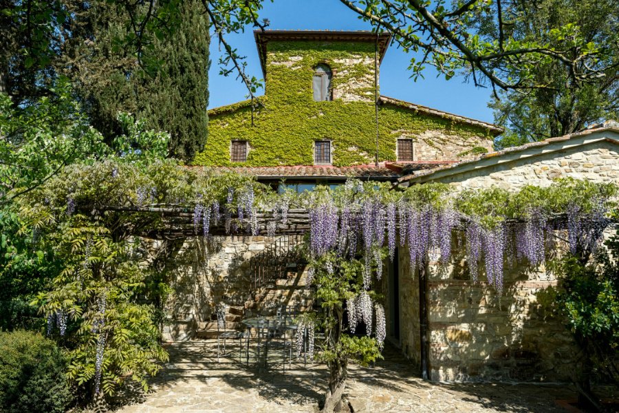 Immagine cantina Tenuta degli Dei