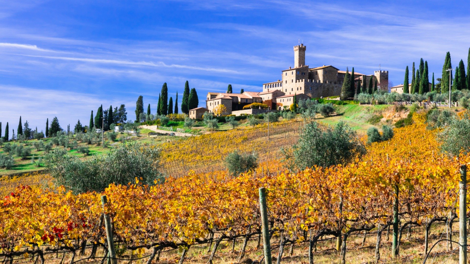 Montalcino